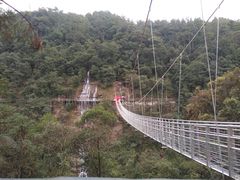 -九龙江国家森林公园