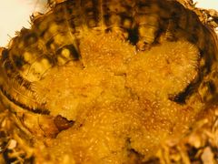 -海胆小馆(东北水饺·春柳店)