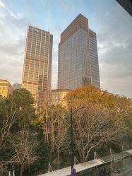 -上海首尔丽格医疗美容医院