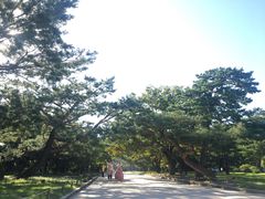 -景福宫