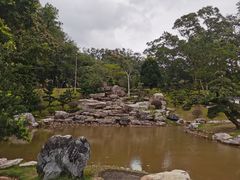 -深圳仙湖植物园
