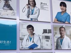 -美联众合动物医院·24h京西诊疗中心