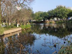 -河泥荡文化公园