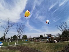 -田园东方蜜桃村的田野营地