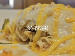 -丁老爷子苏香圆