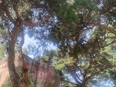 -崂山仰口游览区