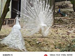 -泉州海丝野生动物世界