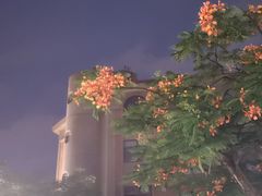 -鼓浪屿内厝澳码头(轮渡站)