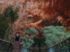 -尚贤河湿地