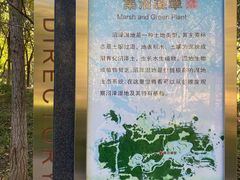 -翠湖国家城市湿地公园