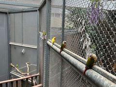 -正佳雨林生态植物园