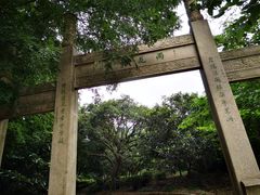 -雨花胜境