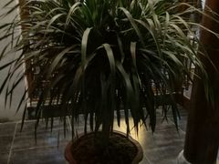 -大自然(鲁家村店)