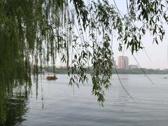 -济南大明湖景区