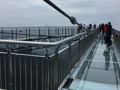 -梦幻奥陶纪景区