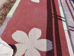-高东镇樱花园