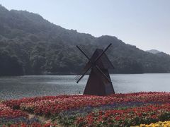 -广州市石门国家森林公园