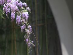 -中国丝绸博物馆