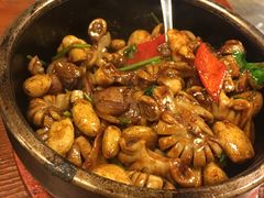 -火齐潮汕砂锅粥(五道口店)