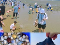 -巧克力渔家.小船海鲜胶东菜(万平口店)