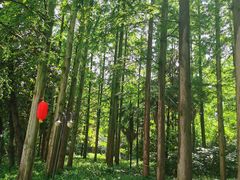 -上海怡沁园度假酒店