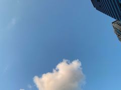 -暗黑魔法·玄灵未妖阁·塔罗·占星·心理咨询