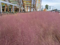 -中国天府农业博览园