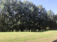 -长白岛森林公园