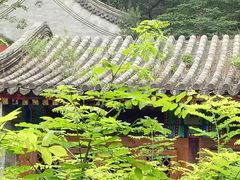 -阳台山自然风景区