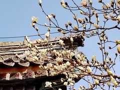 -颐和园