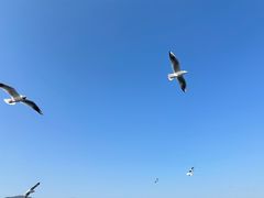 -海埂大坝