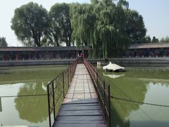 -东方巨龟苑景区