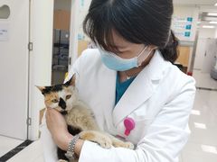 -美联众合动物医院·24h京西诊疗中心