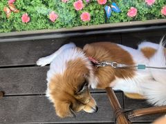 -宝荣鱼馆·临湖之宴(千岛湖店)