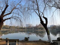 -堤角公园