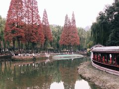 -温江公园