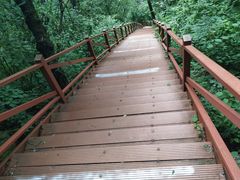 -野三坡百草畔景区