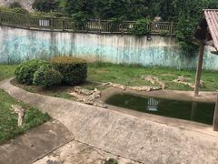 -无锡动物园·太湖欢乐园