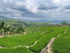 -牙胡梯田景区