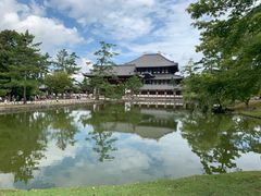 -奈良公园