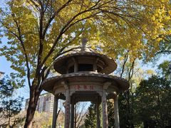 -玲珑塔公园