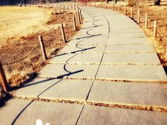 -北京植物园-展览温室