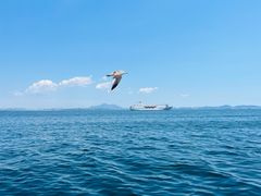 -大连海昌东方水城