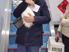 -北京赛佳动物医院