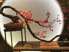 -少伯茶苑·围炉煮茶(夫子庙步行街店)