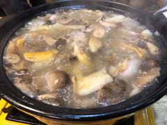 -马帮菜馆·美味野生菌