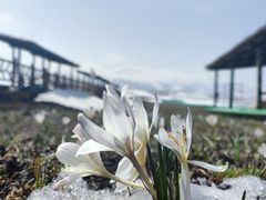 -新疆那拉提国家旅游度假区