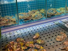 -东厨虾煌(电子街店)
