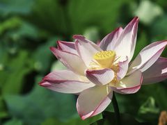 -丝绸小镇荻港古村