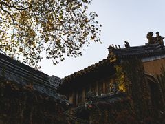 -灵谷景区